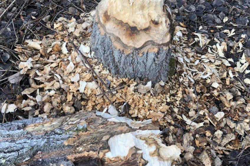 Ölrun Stuga - foto 25