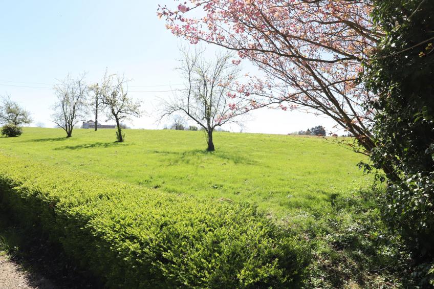 La Tour de la Chapelle - foto 34