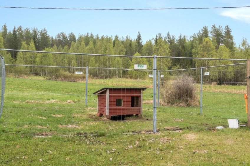 Rantala - foto 2