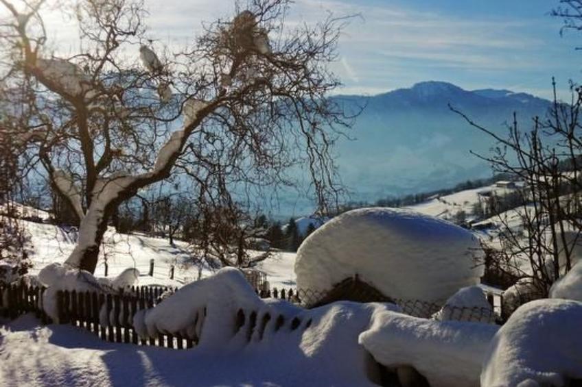 Schwarzenbachhof - foto 12