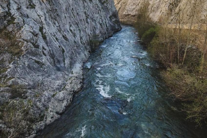 Rural House in the mountain of León - foto 29