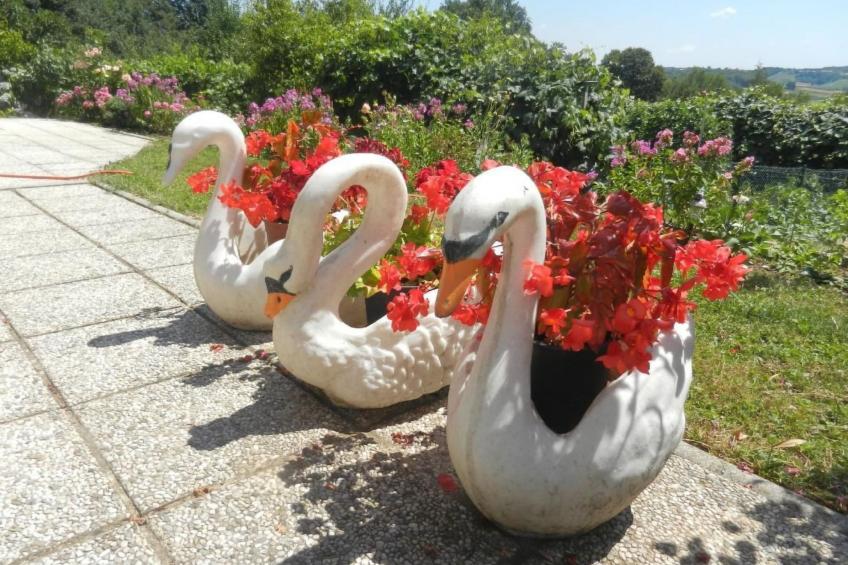 Urlaub für die Seele - Ferienhaus mit Sauna - foto 42