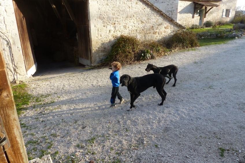 La Ferme des Paons - foto 22