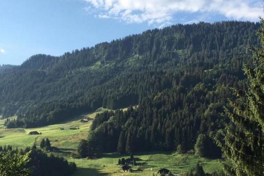 Authentisches Schweizer Alpenchalet aus dem 18. Jh. - foto 45