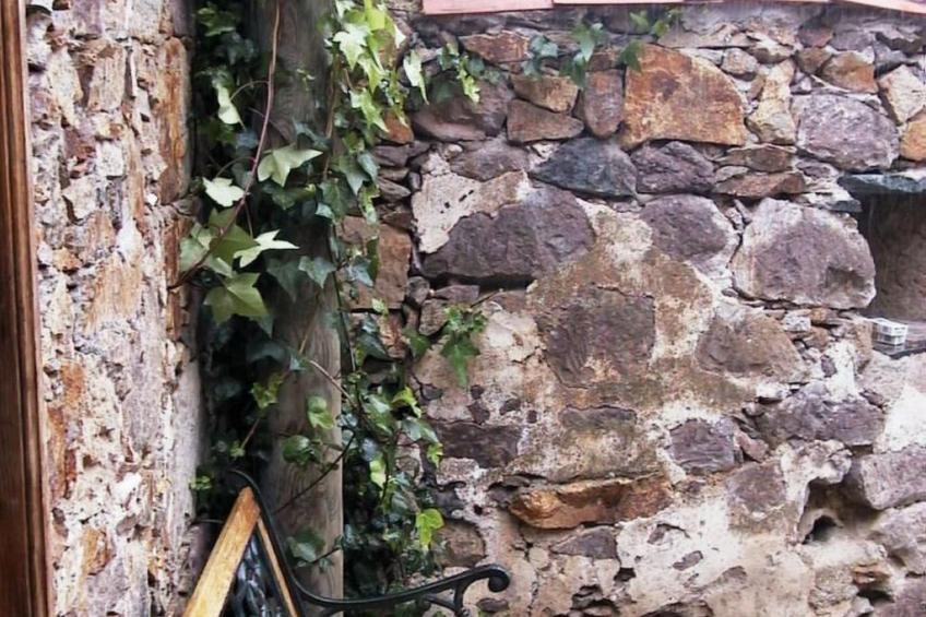 Landhaus Pepita la de las flores - foto 26