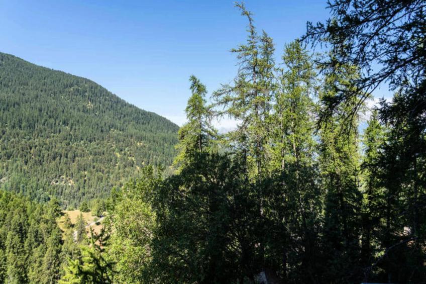 Résidence Le Belvedere - foto 9