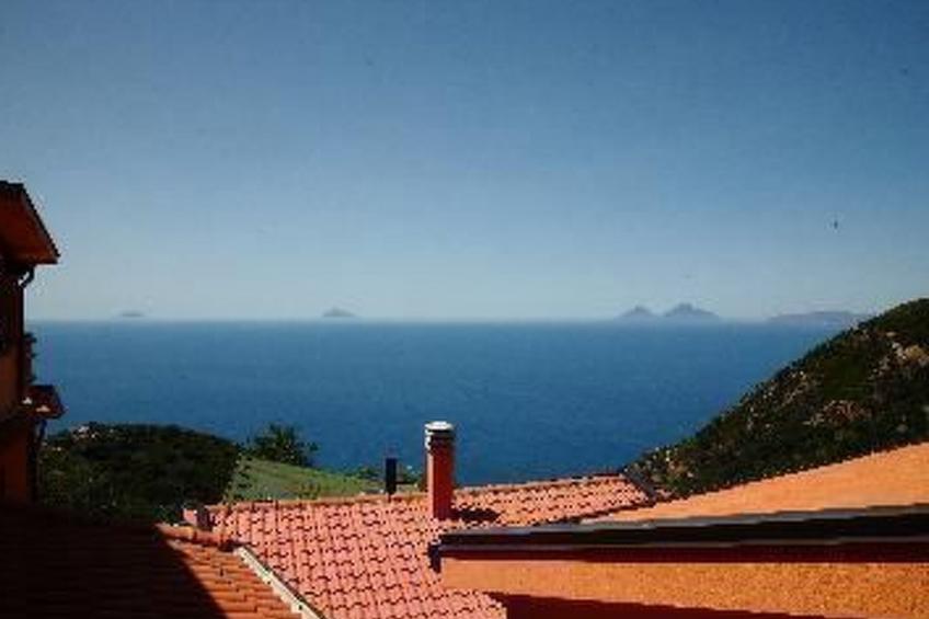 flacher Kirschbaum - foto 4