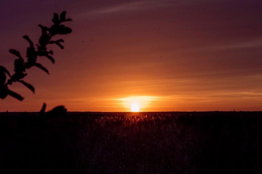 Admiral's Corner Luv - foto 29