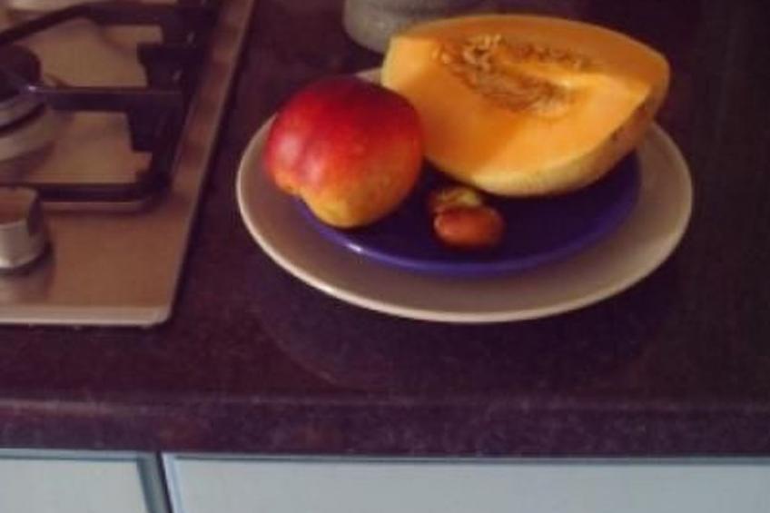 Fischer Fritz 2 - foto 15