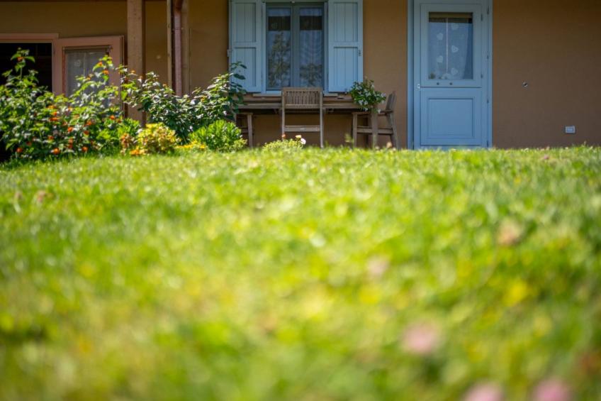 'Hortus la azurra' - foto 3