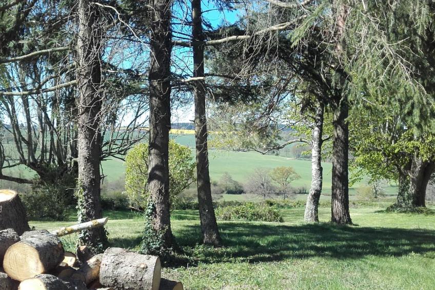 Charmantes Haus in der Auvergne - foto 12