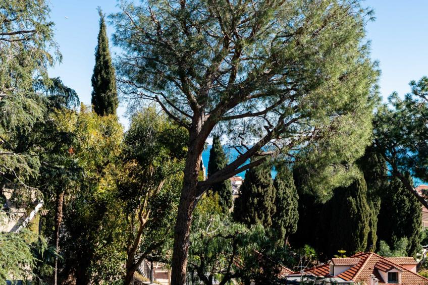 Orizzonte Blu Alassio - foto 21