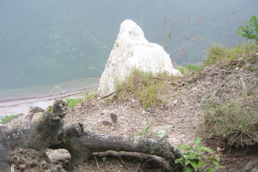 Hochwertige Ferienwohnung in Gingst - foto 41