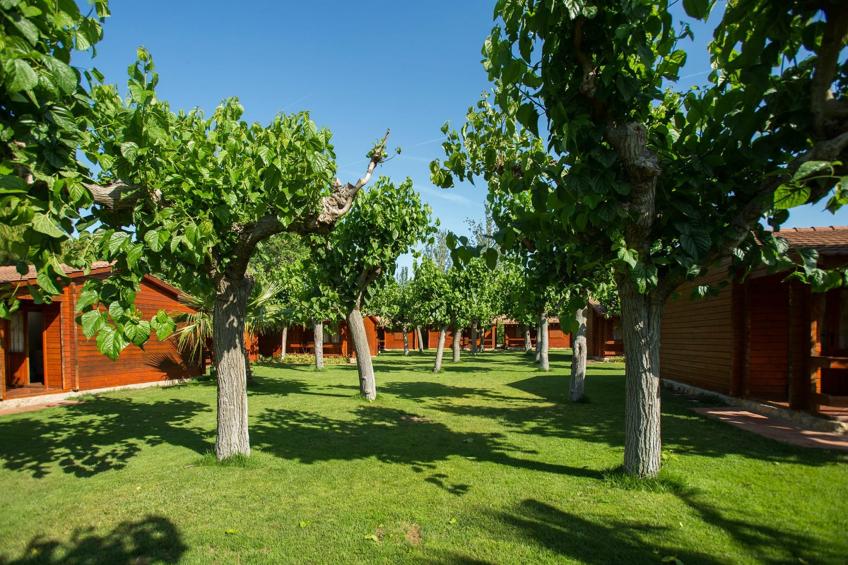 La Llosa Gregal- BUNGALOWS - foto 16