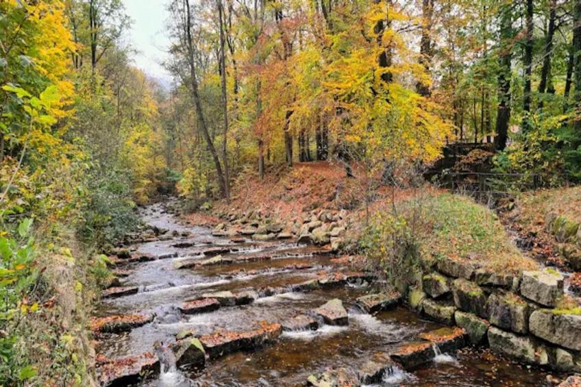 Haus Buchberg - foto 18
