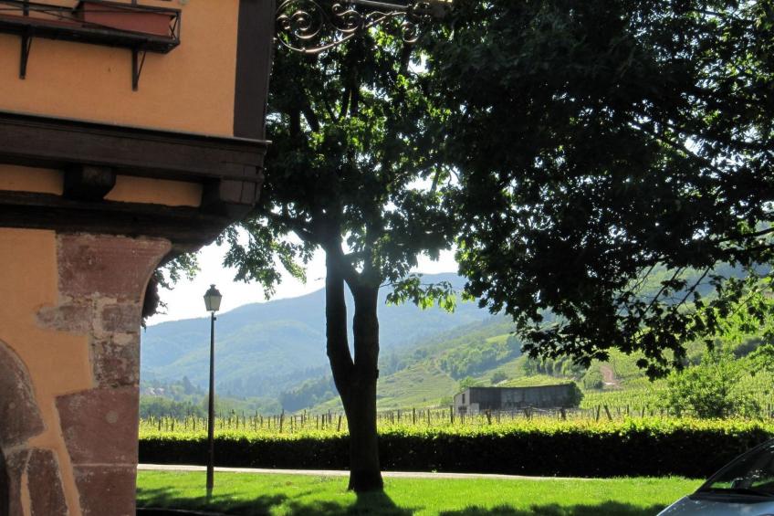 2ed-Face Vosges,im Süden,Herz Weinberg,Ruhig,WiFi - foto 24