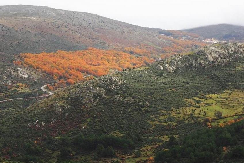 Landhaus Numancia. Gemütliches Landhaus. - foto 41