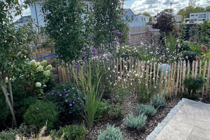 Hainer See Oase - foto 49