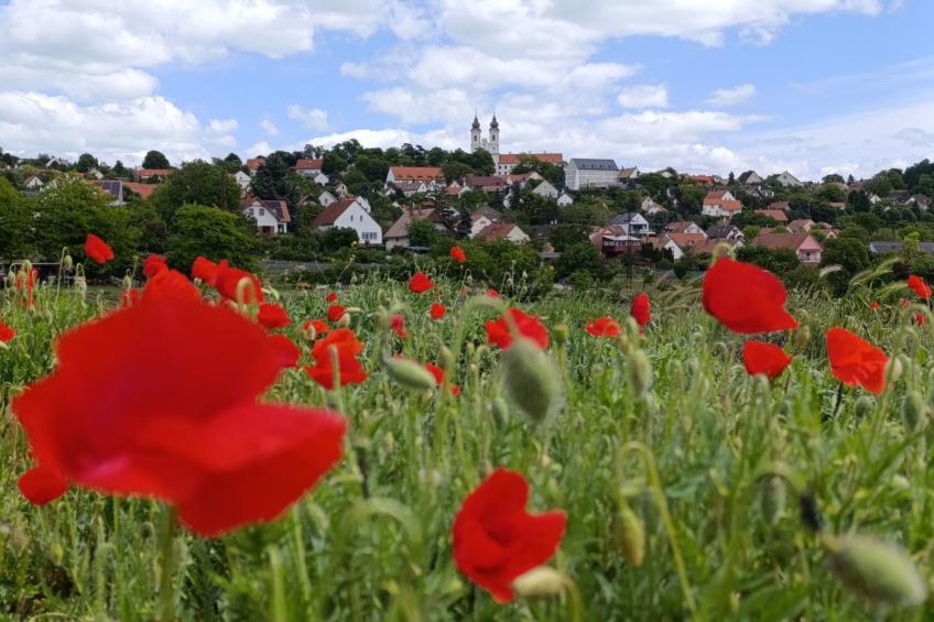 Ferienwohnung - foto 26