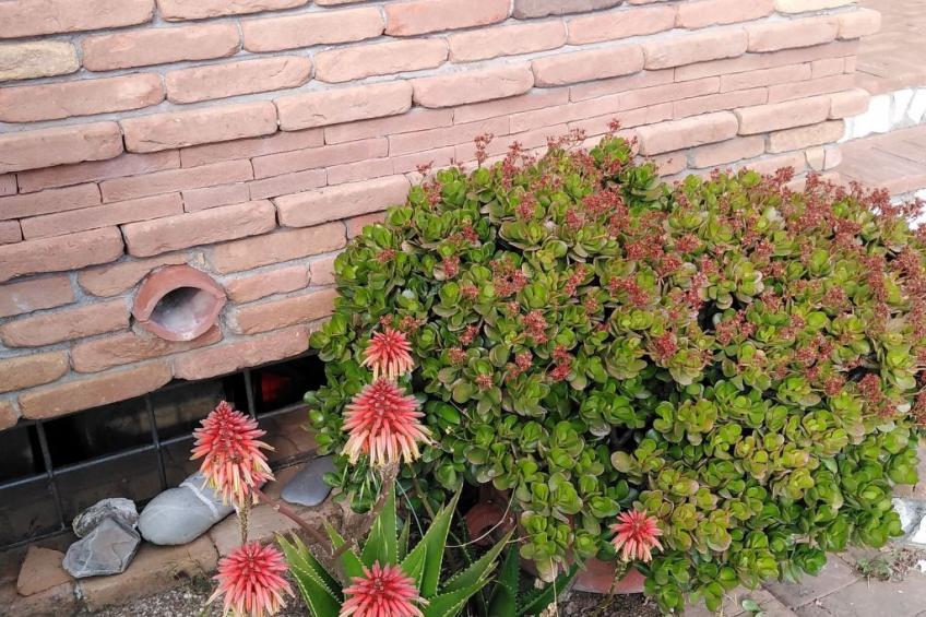 Appartement in Caprioli mit Garten, Terrasse und Grill - foto 35
