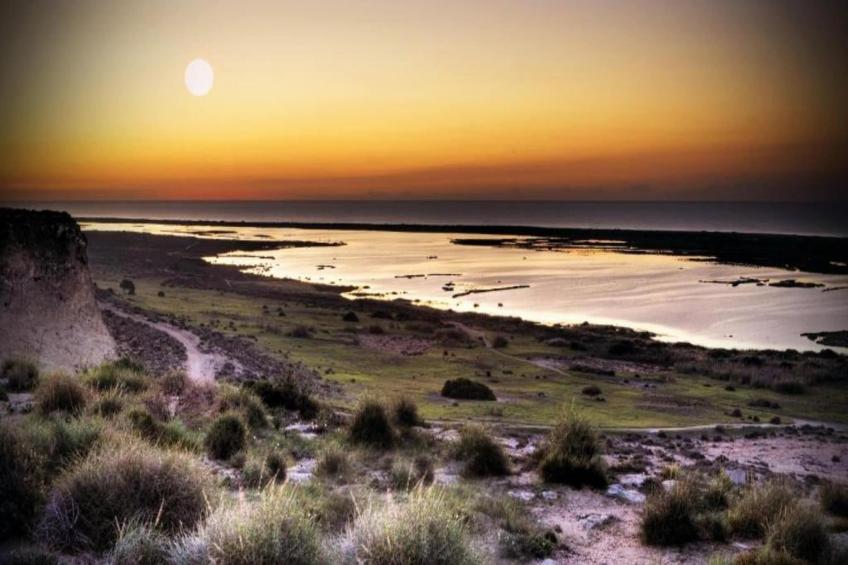 1habitación - foto 29