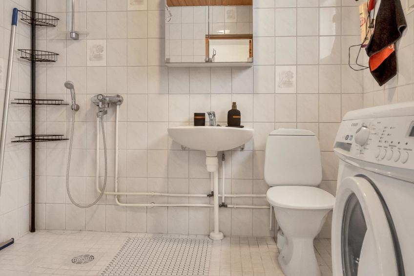 Koivulahden reinola - foto 3