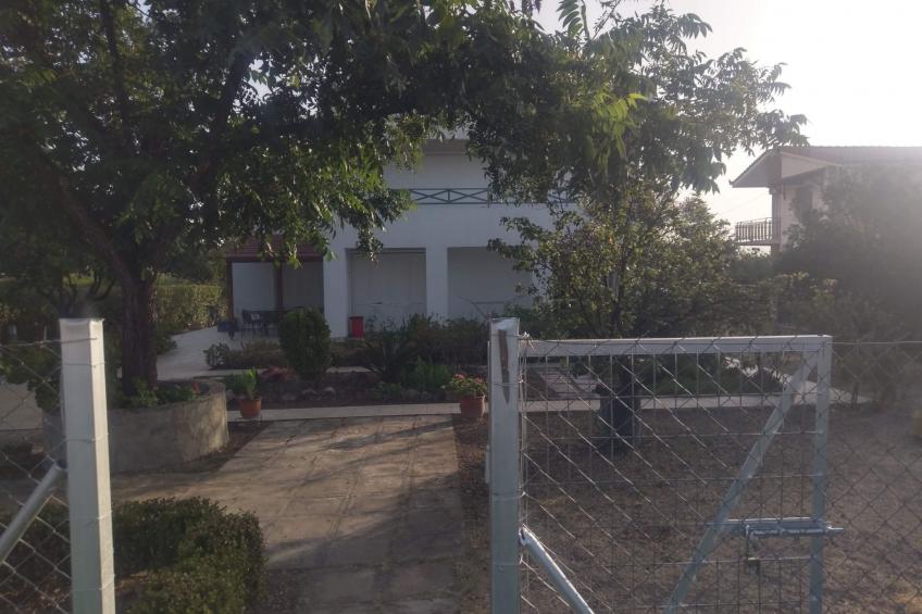 neben Orangenbaum-Obstgarten - foto 29