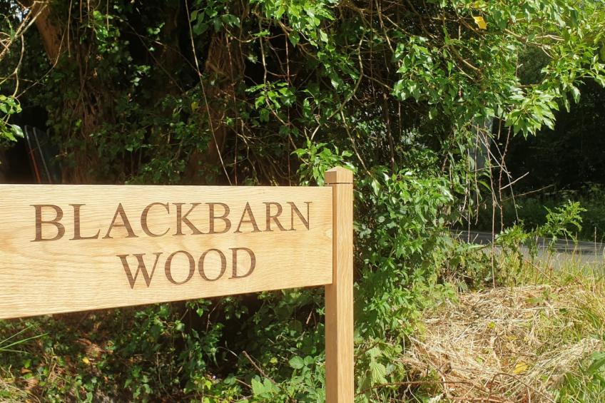 Blackbarn Wood - foto 24