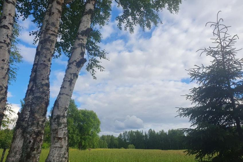 Gemütliches Ferienhaus Angermanland - höga Kusten - foto 20