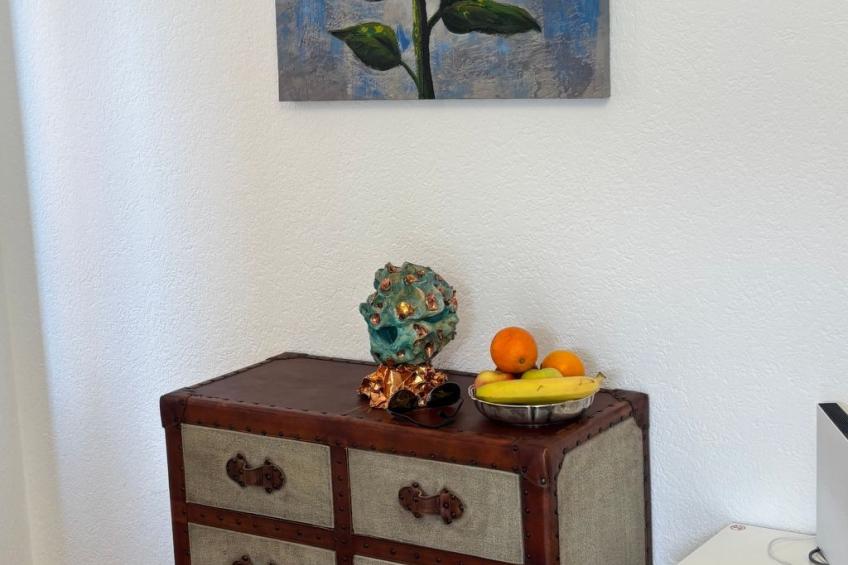 See-Penthouse - foto 25