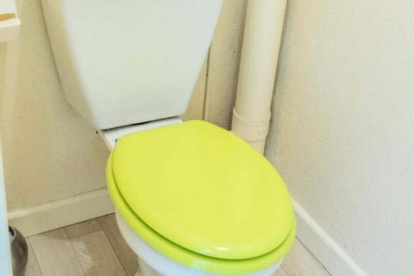 Gîte de France Le gîte gévaudan, 6/7 personnes au bacon 2 épis - foto 18