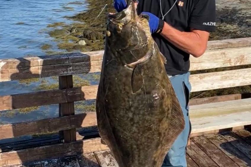 Meløy Naturopplevelser Tømmervik - foto 37