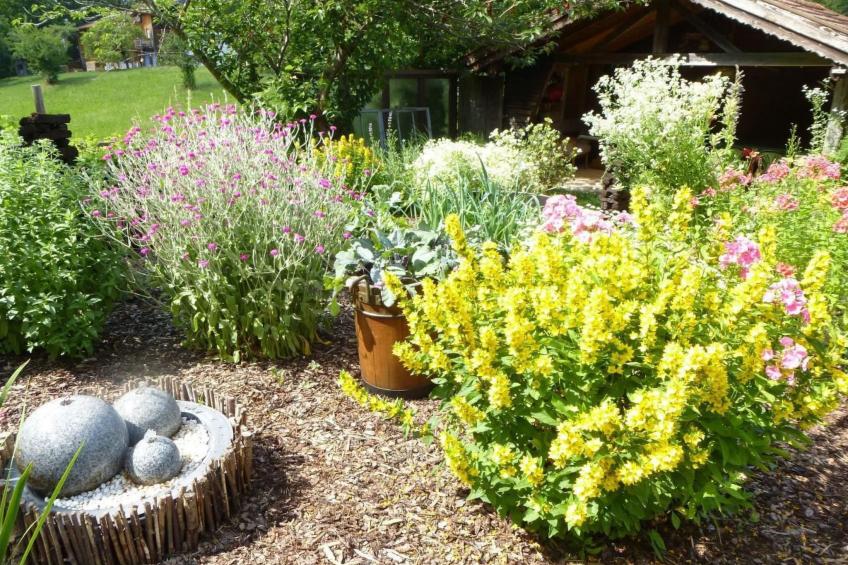 Appartement in Bad Bayersoien mit Großem Garten - foto 16