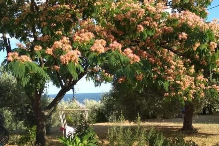 Olivia Sea Cottage - foto 21