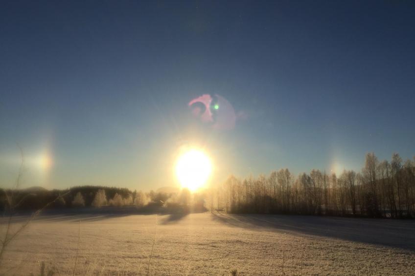 Ferientagheim Hammarstrand - foto 44