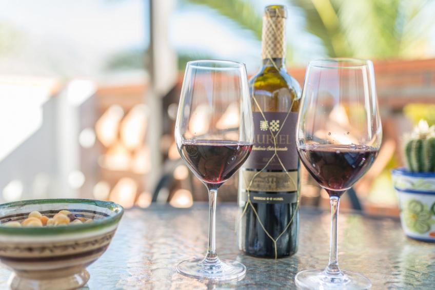 Casa El Olivo, Landhaus mit Bergblick - foto 10