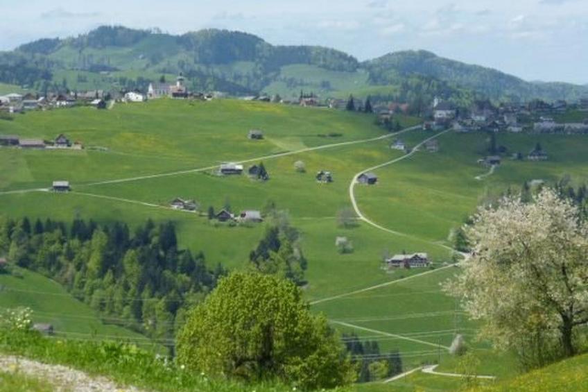 Ferienhof-Barenegg - foto 10