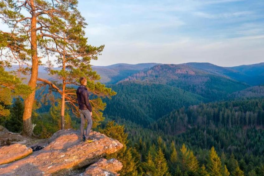 Maison de vacances - Niderviller Loft - foto 38