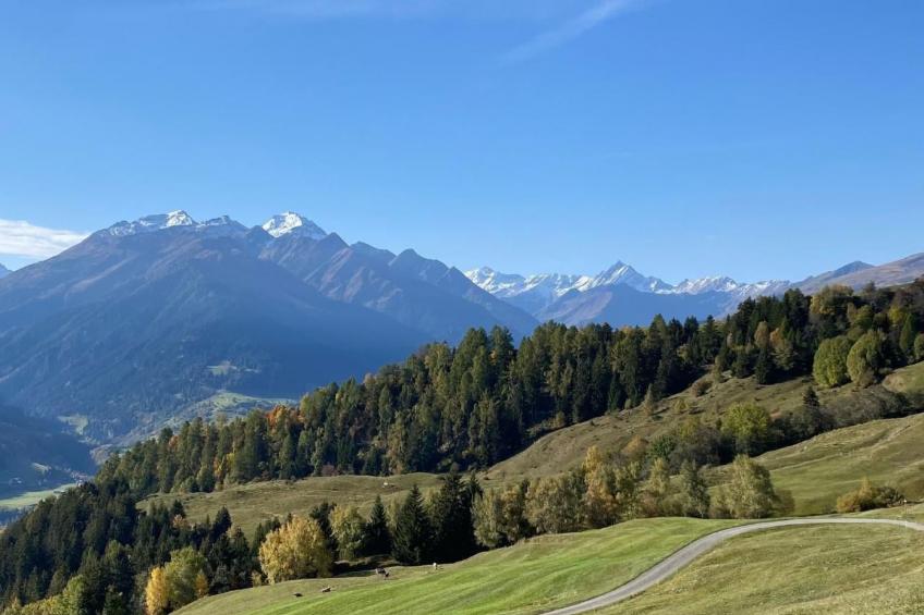 Lumnezia Lux - foto 33