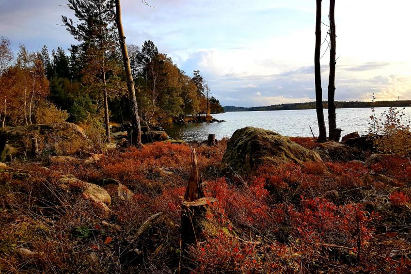 Särskilda - foto 43