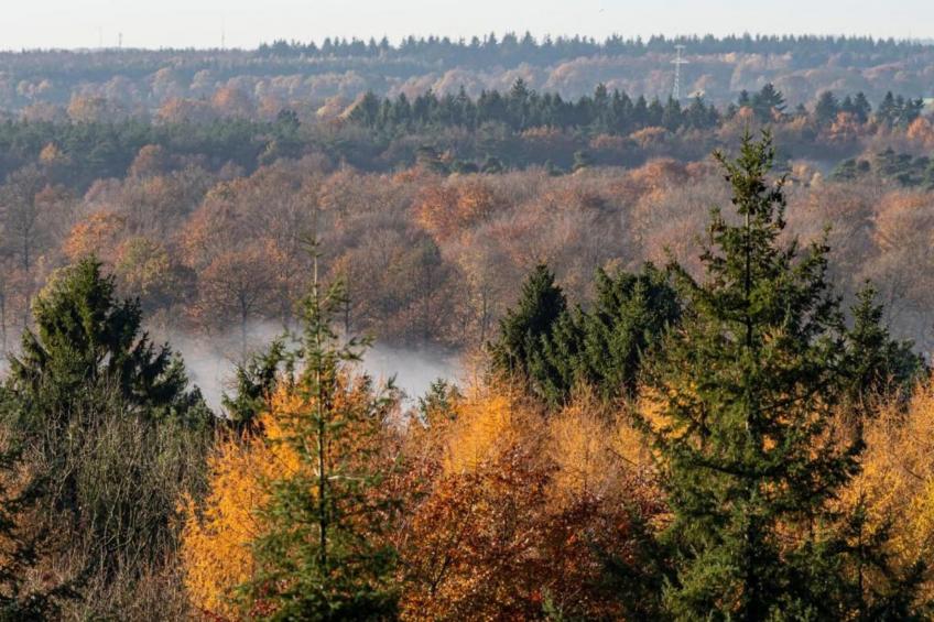 De Weide 4P - foto 25