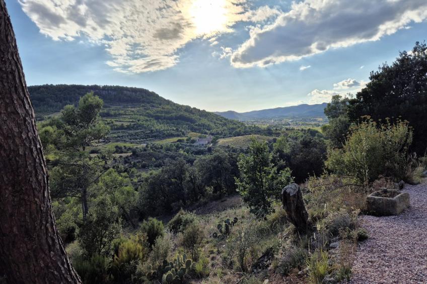 La Garrigue - foto 30