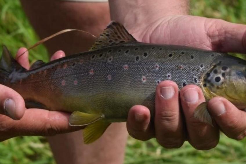 "Lana" mit Whirlpool - foto 19