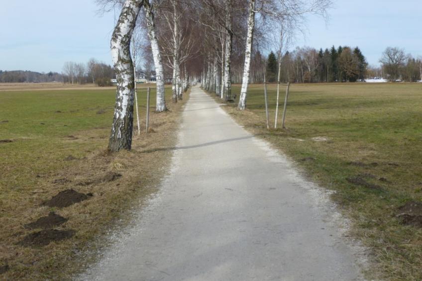 165196 - foto 11