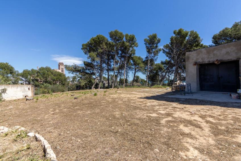 Torre Morralla - foto 41