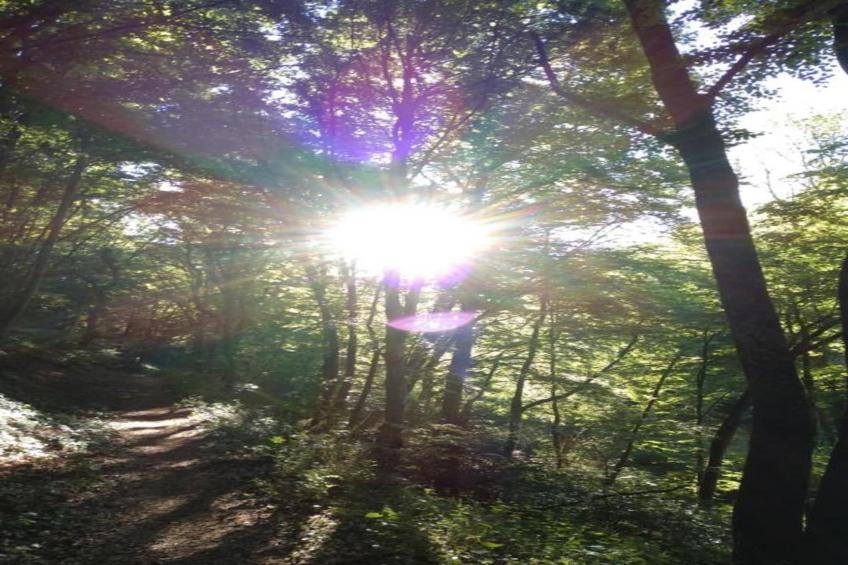 Ferienhaus der Saison an der Mosel - foto 30