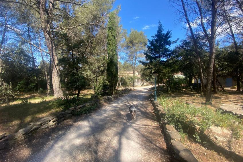 Studiowohnung mit Terrasse - Pool, Tennis, Bouleplatz - foto 24