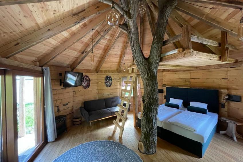 Treehouse - foto 2