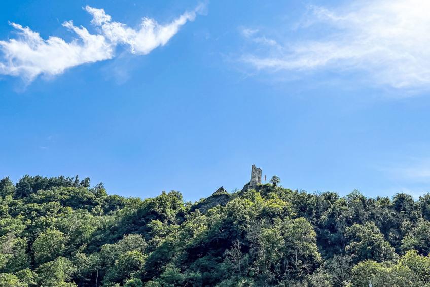 in Traben mit Kleinem Garten - foto 11