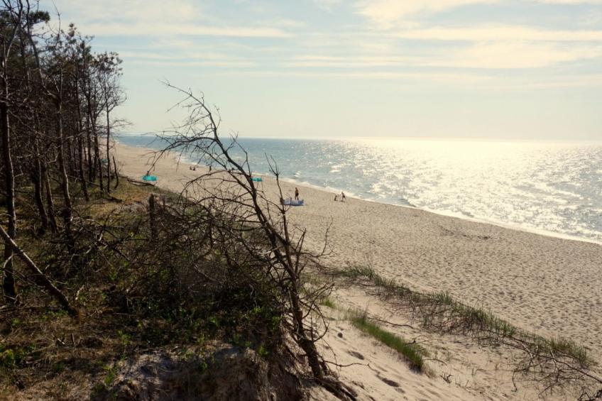 "Paradise Star Bobolin" - foto 26